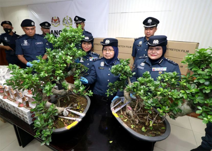 雪州关税局破获植物走私案   起获的盆栽总值20万令吉