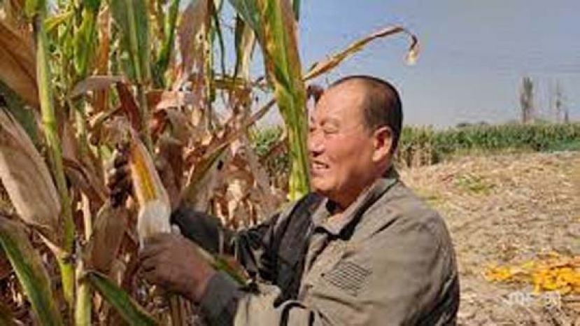 美媒：40%美国民众难以支付医疗账单或医疗债务.