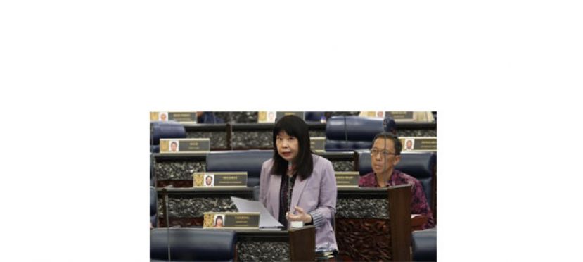 林慧英将确保教育部每年培训华文和淡米尔文教师 不会出现零培训的局面
