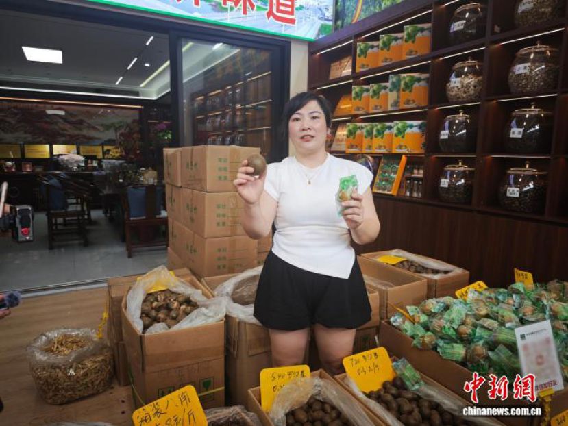 广西玉林福达国际香料物流港一隅，商户韦丹迪向记者展示广西特色香料罗汉果。