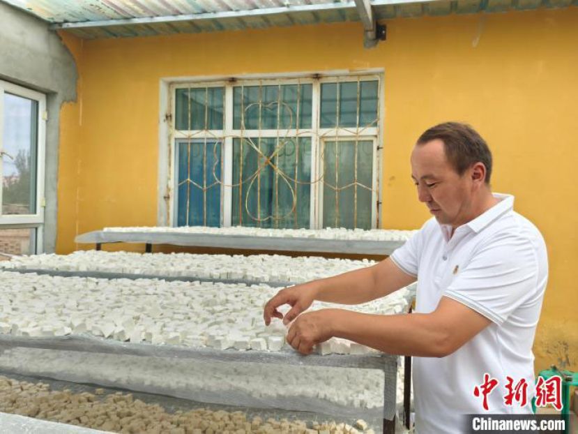 哈依木哈孜正在晾晒奶疙瘩。