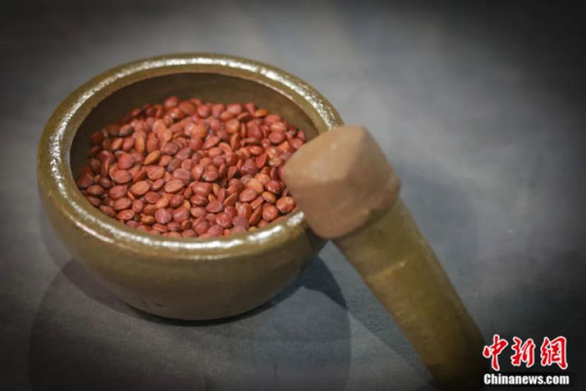 内丘县酸枣仁。