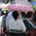 首尔12日高温破30℃ 创119年来10月最高纪录