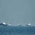 伊朗与阿曼讨论建立荷莫兹海峡永久性收费制度
