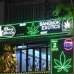 泰国加强管控大麻产业   种植销售须全程追踪
