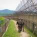 朝鲜士兵每天越界一次疑埋地雷　韩国军实施警告射击