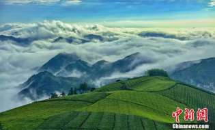 人这一辈子，一定要去一趟嵊州！